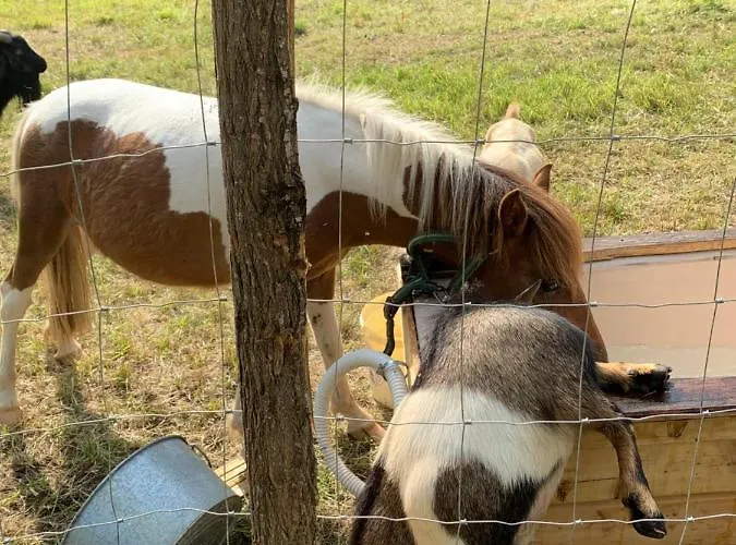 Les Lacs D'armagnac キャンプ場 *