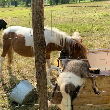 Les Lacs D'armagnac キャンプ場 *