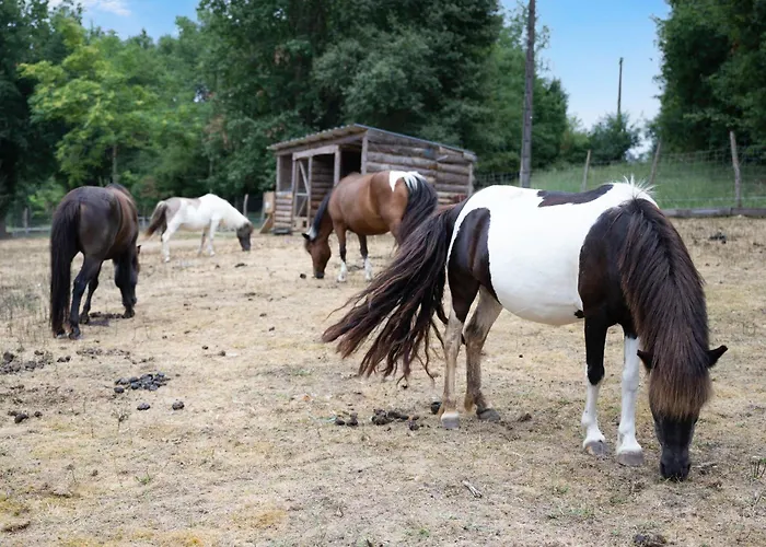 Les Lacs D'armagnac Camping Bretagne-d'Armagnac